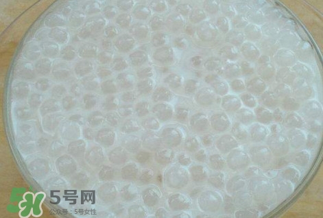 楊枝甘露是比喻什么？楊枝甘露是什么