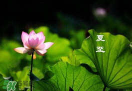 2017年夏至?xí)掠陠幔肯闹料掠暧惺裁凑f(shuō)法？