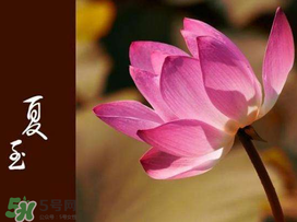 2017年夏至?xí)掠陠幔肯闹料掠暧惺裁凑f(shuō)法？