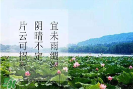 夏至是入伏嗎？夏至后多久入伏？