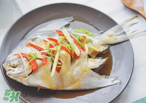 鱸魚刺多嗎？鱸魚適合做給寶寶吃嗎？