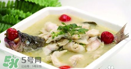 海鱸魚多少錢一斤2017？淡水鱸魚多少錢一斤？