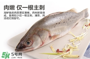 鱸魚是海鮮嗎？鱸魚是不是海鮮？