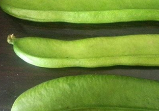 刀豆是四季豆嗎？刀豆和四季豆的區(qū)別