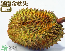 紅心榴蓮多少錢一斤？紅心榴蓮為什么這么貴？