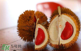 紅心榴蓮多少錢一斤？紅心榴蓮為什么這么貴？