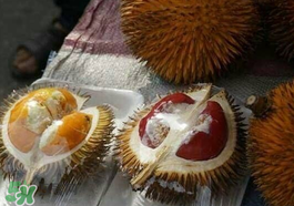 紅心榴蓮多少錢一斤？紅心榴蓮為什么這么貴？
