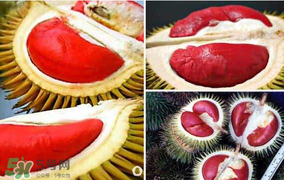 紅心榴蓮叫什么？紅心榴蓮是哪個國家產(chǎn)的？
