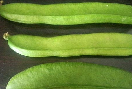 刀豆是發(fā)物嗎？刀豆是不是發(fā)物
