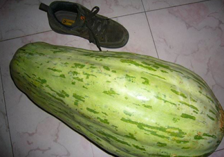 菜瓜怎么炒好吃？菜瓜怎么做好吃