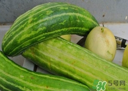 菜瓜到底是不是黃瓜？ 菜瓜和黃瓜的區(qū)別