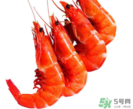 楊梅和蝦能一起吃嗎？蝦和楊梅能一起吃嗎？