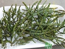 螃蟹腳茶多少錢一斤2017？螃蟹腳茶的價(jià)格