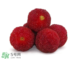 吃完楊梅不能吃什么？吃完楊梅可以吃別的水果嗎？