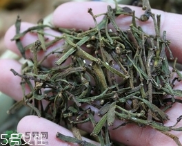 螃蟹腳茶哪些人不能喝？螃蟹腳茶哪些人能喝