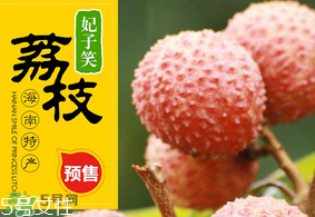 妃子笑荔枝多少錢一斤？2017妃子笑荔枝價格