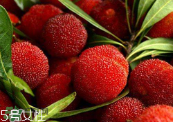 ?楊梅和李子能一起吃嗎？楊梅和李子一起吃會(huì)中毒嗎？