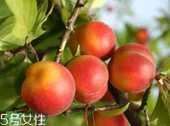 ?楊梅和李子能一起吃嗎？楊梅和李子一起吃會(huì)中毒嗎？
