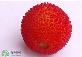 楊梅籽可以吃嗎？吃楊梅籽有什么好處？