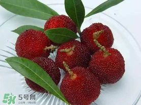 楊梅籽可以吃嗎？吃楊梅籽有什么好處？