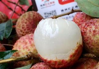 白糖罌荔枝怎樣保果的？白糖罌荔枝和白蠟的區(qū)別