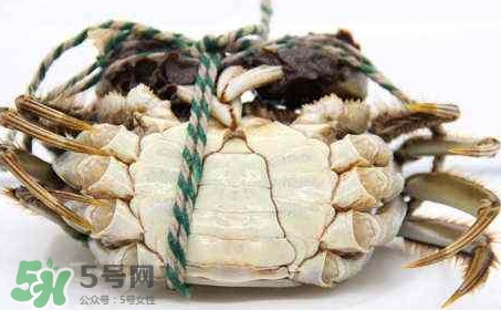 為什么說六月黃有公蟹沒有母蟹？怎樣區(qū)分螃蟹的公母