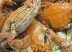 花蓋蟹死了能吃嗎？花蓋蟹死多久之內(nèi)能吃？