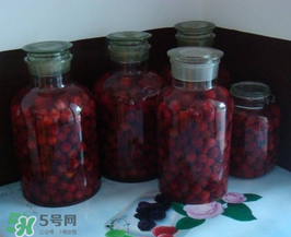 泡楊梅酒用什么瓶子？楊梅酒可以用塑料瓶泡嗎？