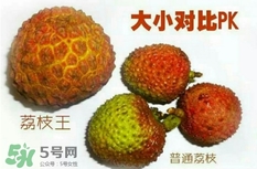荔枝王好吃嗎？荔枝王和妃子笑的區(qū)別