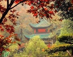 7月份去長(zhǎng)沙穿什么？七月份去長(zhǎng)沙穿什么衣服