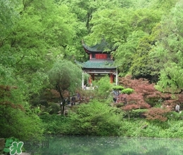 7月份去長(zhǎng)沙穿什么？七月份去長(zhǎng)沙穿什么衣服