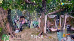 諜紙?zhí)煅酆屯鸂I有什么關(guān)系？