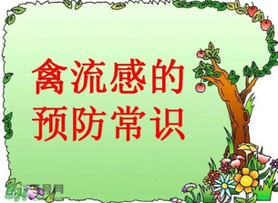 6月有禽流感嗎？2017年6月有禽流感嗎？