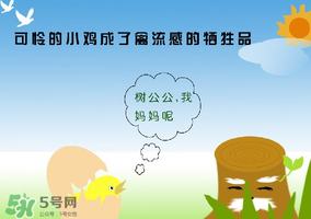 6月有禽流感嗎？2017年6月有禽流感嗎？