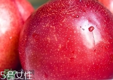 桃駁李是轉(zhuǎn)基因嗎？桃駁李是不是轉(zhuǎn)基因