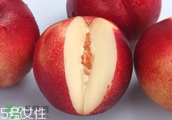 桃駁李是油桃嗎？桃駁李和油桃的區(qū)別