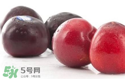 紅布林和黑布林哪個好？紅布林與黑布林的區(qū)別