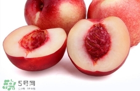 桃駁李是油桃嗎？桃駁李和油桃的區(qū)別