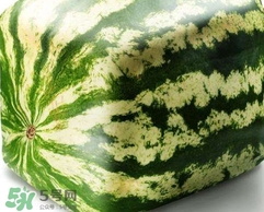 方形西瓜是如何種出來的？方形西瓜是怎么長(zhǎng)成的