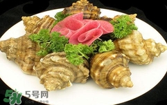海螺是蒸還是煮？海螺的尾部是黃還是屎