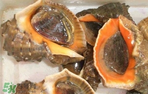 海螺是發(fā)物嗎？海螺是不是發(fā)物