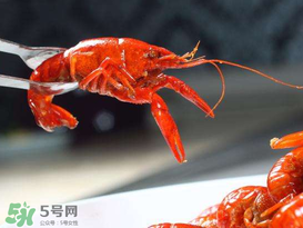 潛江小龍蝦有什么特色？潛江龍蝦節(jié)是每年什么時候？ 