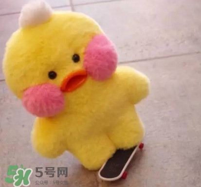 玻尿酸鴨哪里可以買到？一個玻尿酸鴨多少錢？