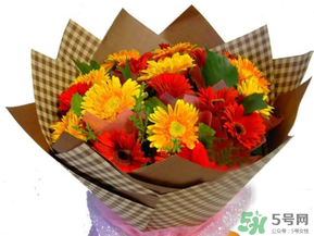 父親節(jié)可以送花嗎？父親節(jié)送什么花最合適？