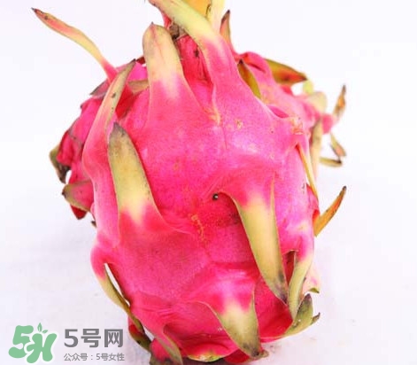 紅心火龍果上火嗎？火龍果是上火的還是降火的？