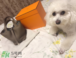 菜籃子包是什么牌子？菜籃子包是哪個(gè)品牌的？