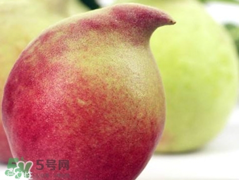 鷹嘴桃種植應注意哪些？鷹嘴桃什么時間修剪