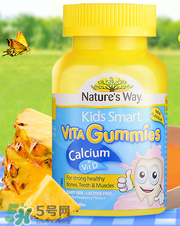 Nature's Way好嗎 Nature's Way保健品怎么樣？