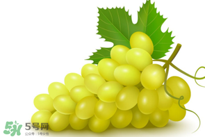 葡萄多少錢(qián)一斤？葡萄多少錢(qián)一斤2017？