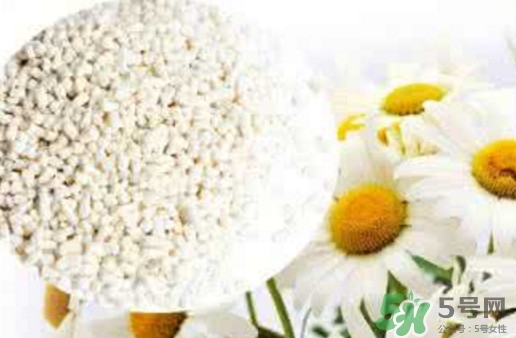 菊花晶是熱性還是涼性？菊花晶嬰兒可以喝嗎？